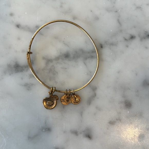 Alex and Ani Apple Bracelet - Picture 2 of 2
